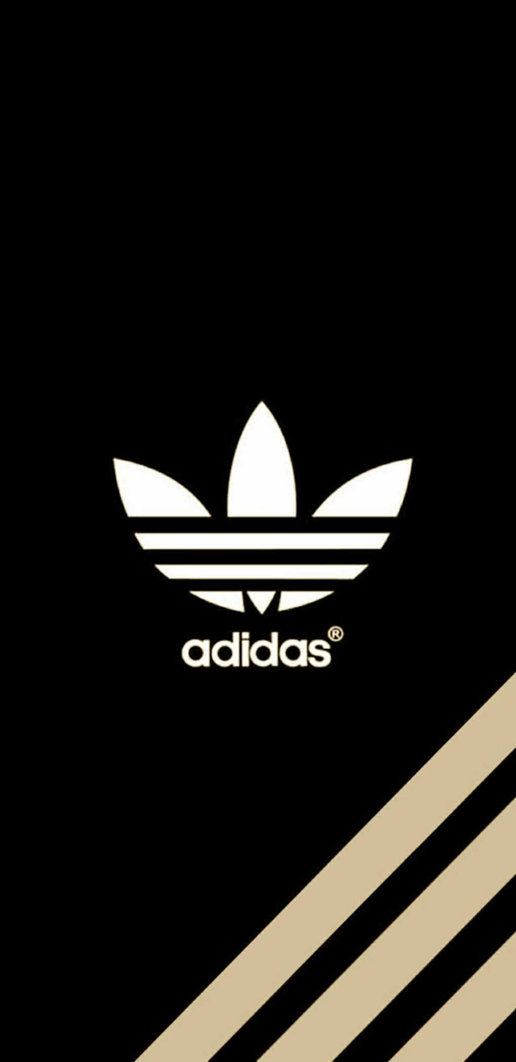 Hình ảnh mới nhất của Adidas