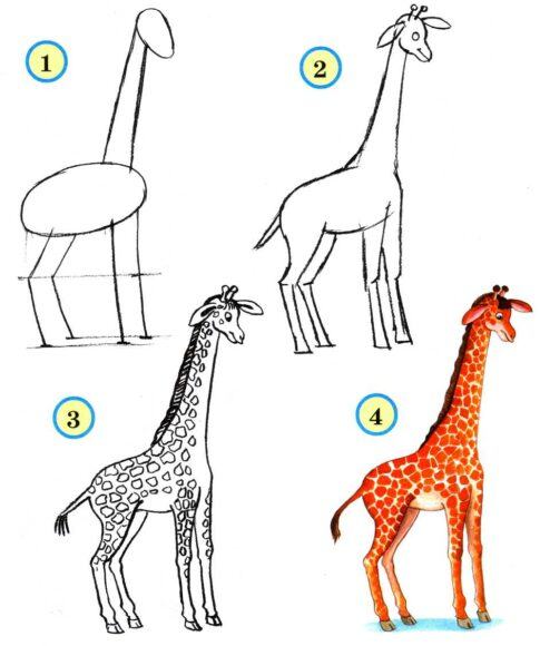 Cách vẽ động vật hươu cao cổ