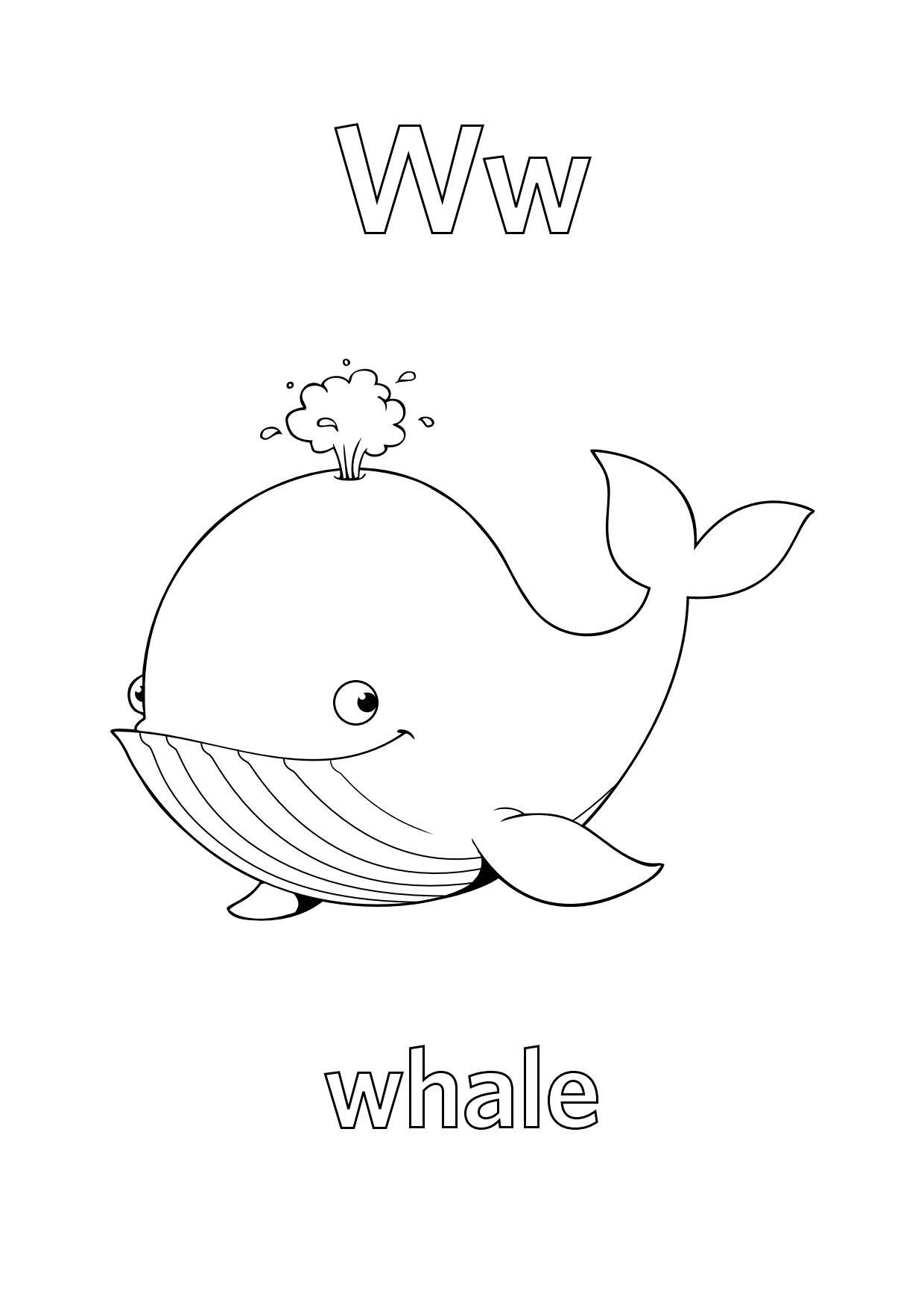 Tranh tô màu chữ W cá voi
