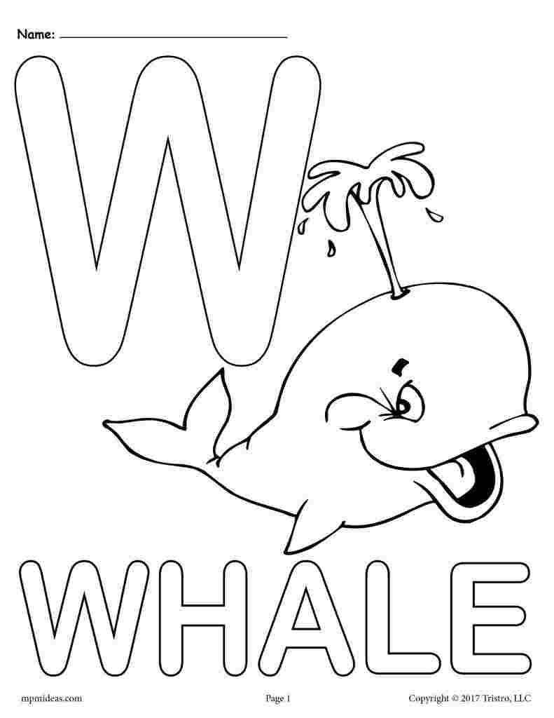 Tranh tô màu chữ W cá voi