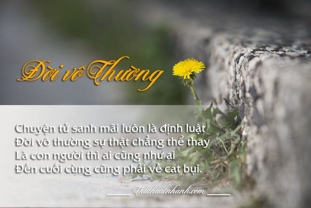 doi vo thuong bai tho hay y nghia ve cuoc song