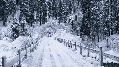 Hoạt hình con đường tuyết