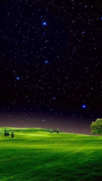 Hình nền cỏ xanh về đêm