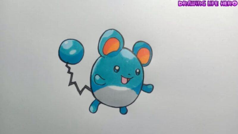 Vẽ và vẽ chú chuột xanh Pokemon Maril dễ thương