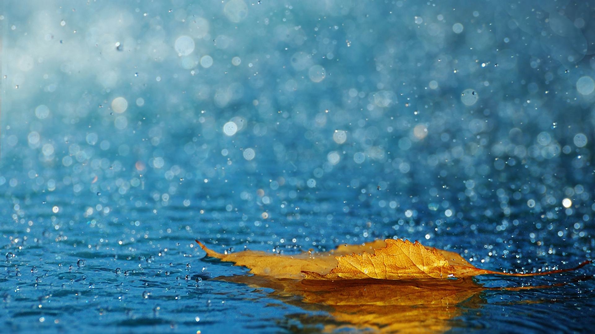 Hình nền mưa mùa thu