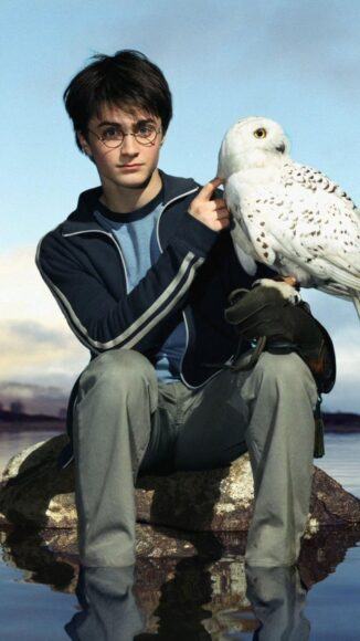 Harry Potter và Cú Hedwig