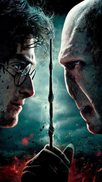 Hình ảnh Harry Potter và Cây đũa phép Cơm nguội