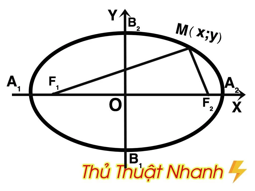 Cách tính diện tích hình Elip - Trung Tâm Đào Tạo Việt Á