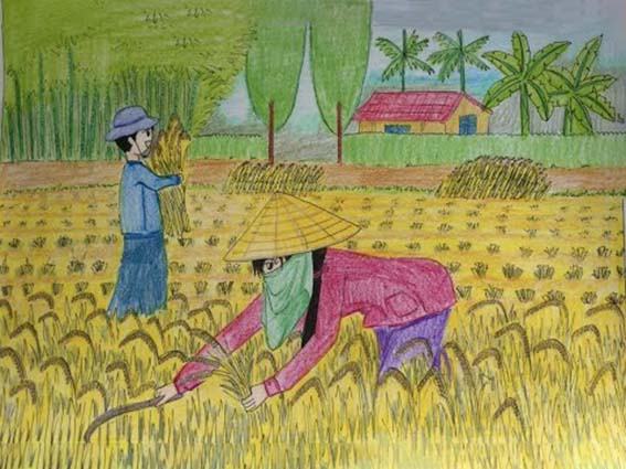 Tranh hoạt động gặt lúa