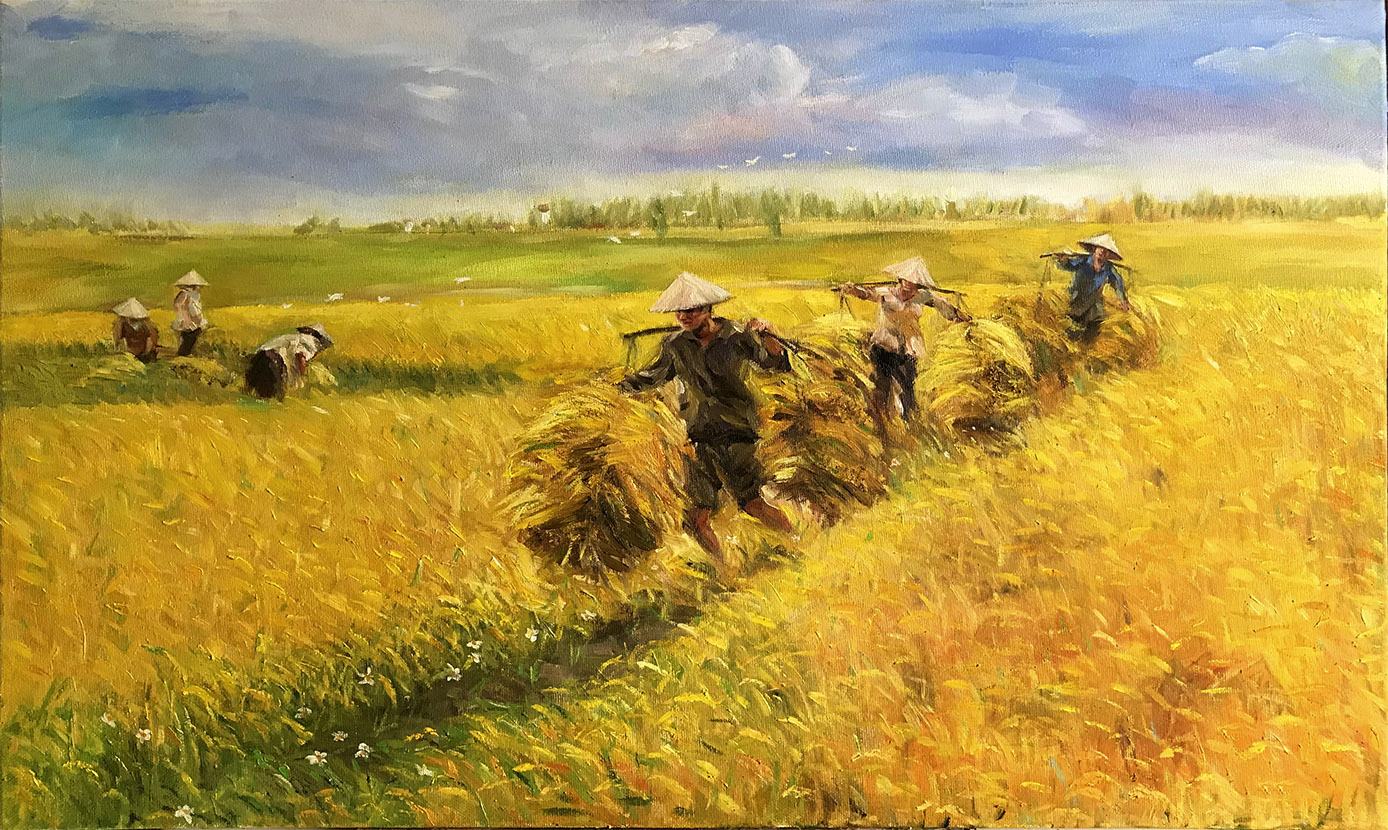 Hình ảnh đẹp về người dân đi gặt lúa