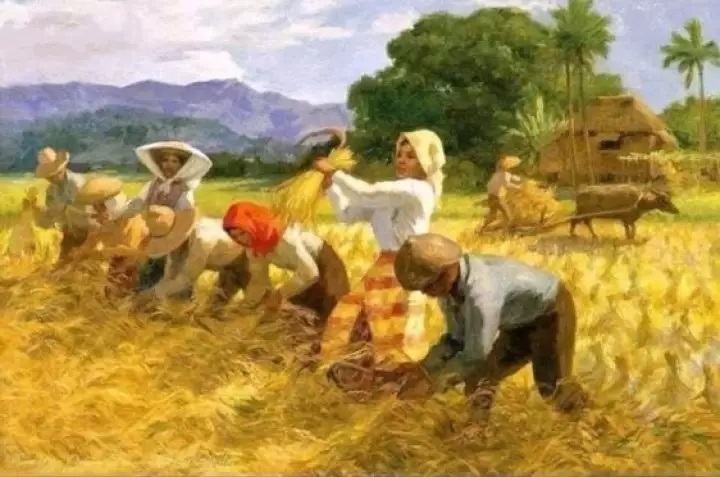Mô hình thu hoạch lúa