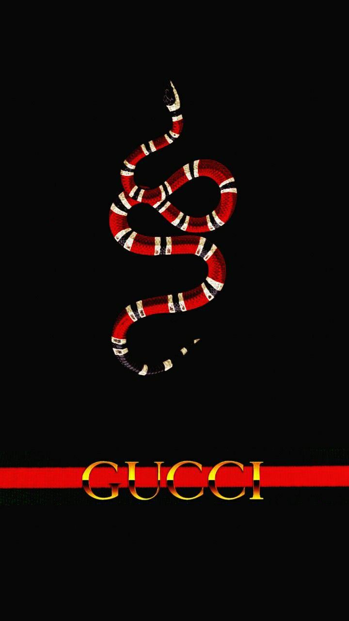 Hình con rắn Gucci trên nền đen