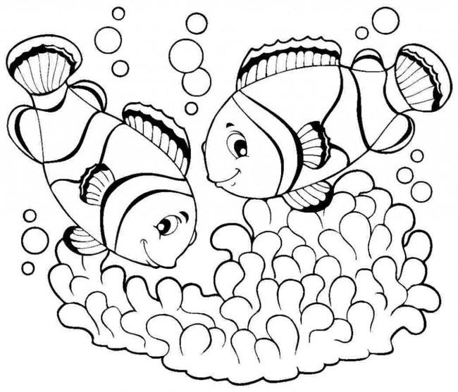 Vẽ 2 chú cá hề trong đại dương
