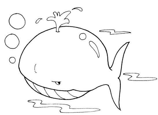 Vẽ con cá voi xanh và tập tô màu cho bé