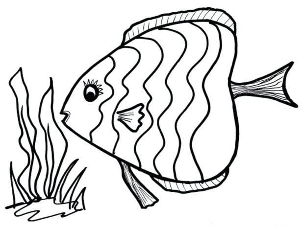 Bức tranh trẻ em học vẽ con cá