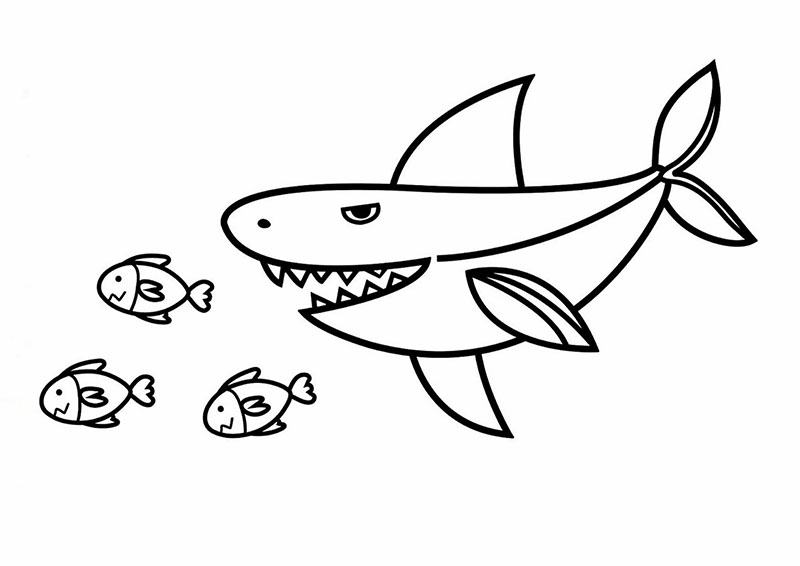 Vẽ cá mập săn mồi cho bé tập vẽ
