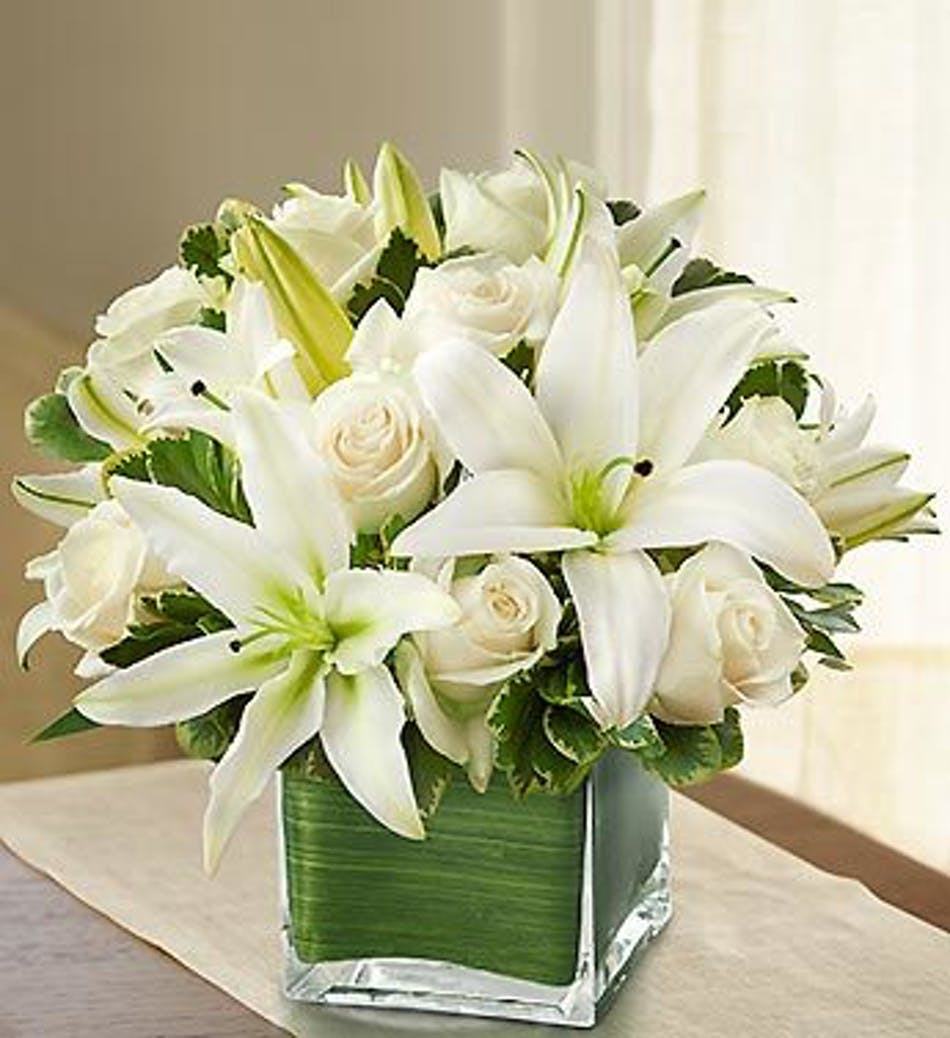 Tổng hợp hình ảnh hoa loa kèn trắng đẹp nhất