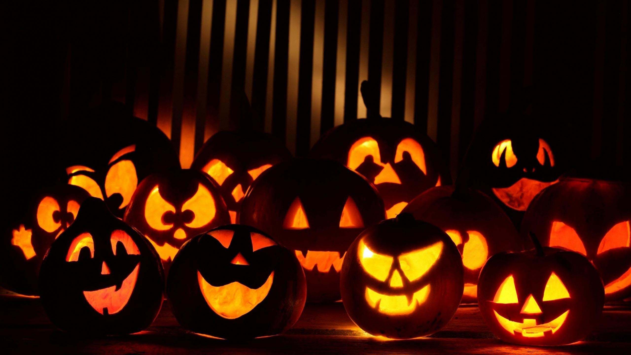 quả bí ngô halloween đẹp nhất