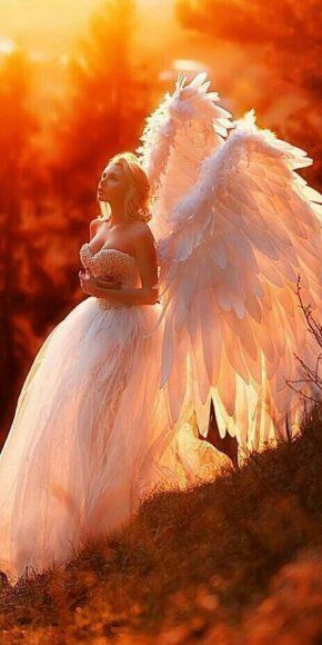 cô dâu trong trang phục thiên thần