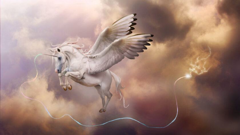 hình thiên thần ngựa có cánh