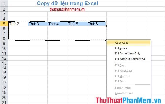 Sao chép dữ liệu trong Excel 8