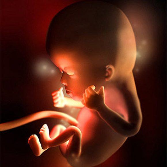 Hình ảnh em bé 12 tuần trong bụng mẹ