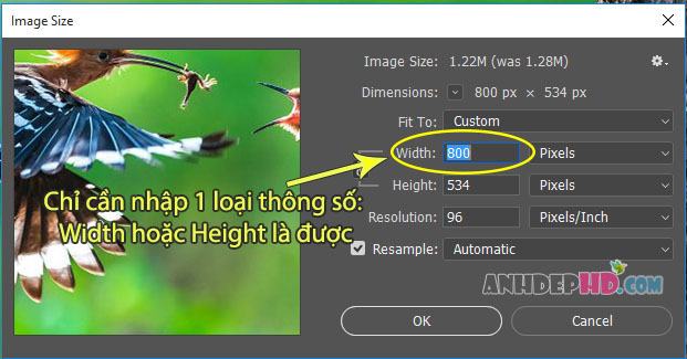 cách resize ảnh trong photoshop