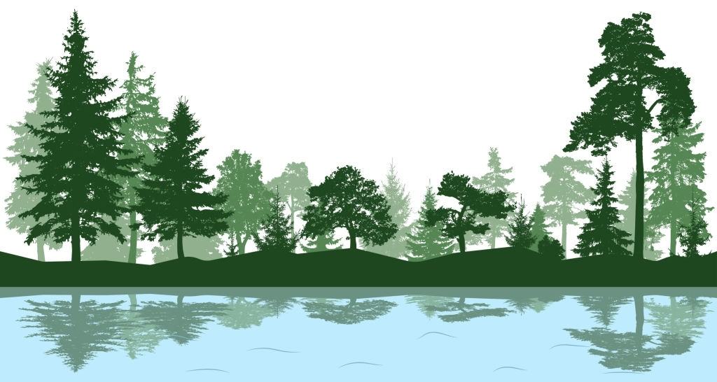 Background cây xanh bên hồ