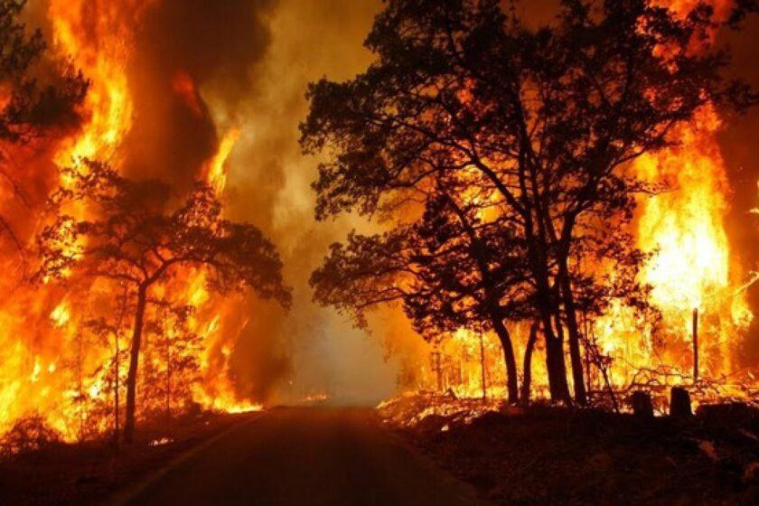Hình nền lửa cháy rừng