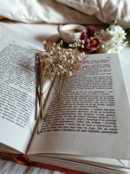 Hình ảnh của một cuốn sách mở và hoa khô