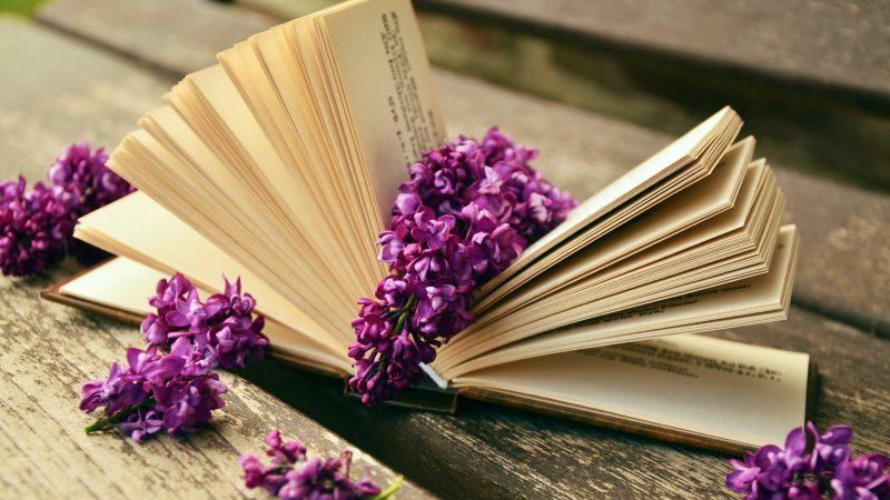 cuốn sách với những bông hoa màu tím