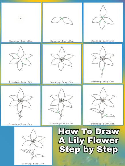 Cách Vẽ Hoa Loa Kèn Và Hoa Loa Kèn Chi Tiết