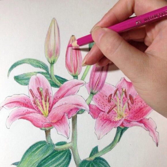 Cách Vẽ Hoa Loa Kèn, Vẽ Hoa Loa Kèn Bằng Bút Màu