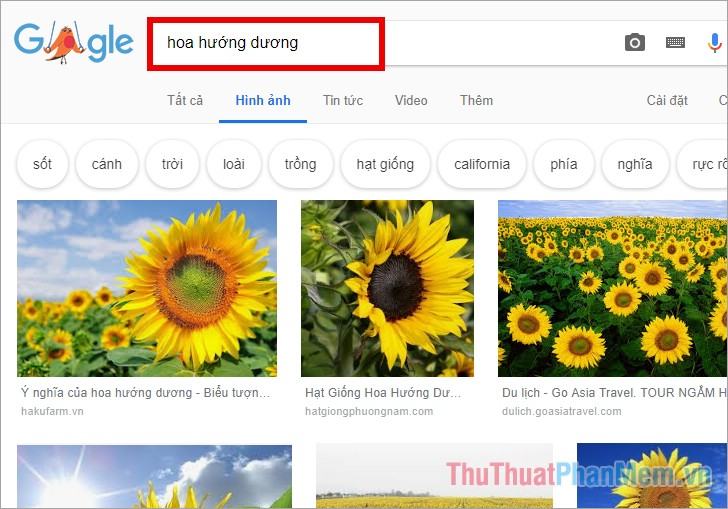 Truy cập trang tìm kiếm Google Images và nhập từ khóa tìm kiếm hình ảnh