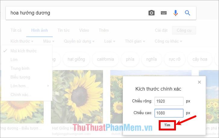 Select Exact - Nhập kích thước chiều rộng và chiều cao theo px