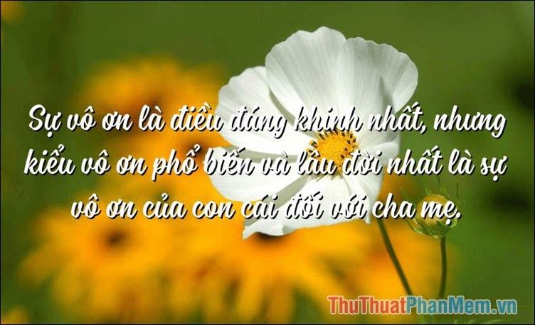 Vô ơn là điều đáng lên án nhất, nhưng hình thức vô ơn phổ biến nhất và lâu đời nhất là sự phản bội của con cái đối với cha mẹ.