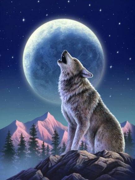 Hình ảnh con sói tru dưới ánh trăng