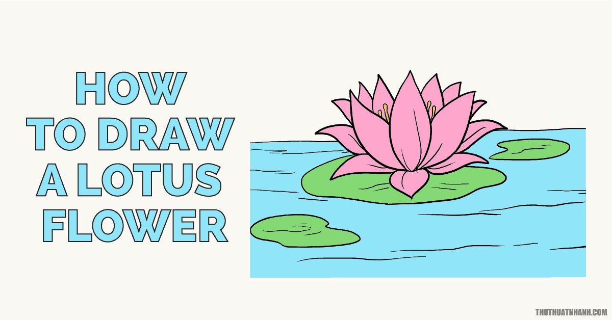 Học cách vẽ hoa sen  với 14 bước cơ bản  Mỹ Thuật Bụi