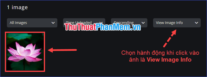 Liên kết và mã