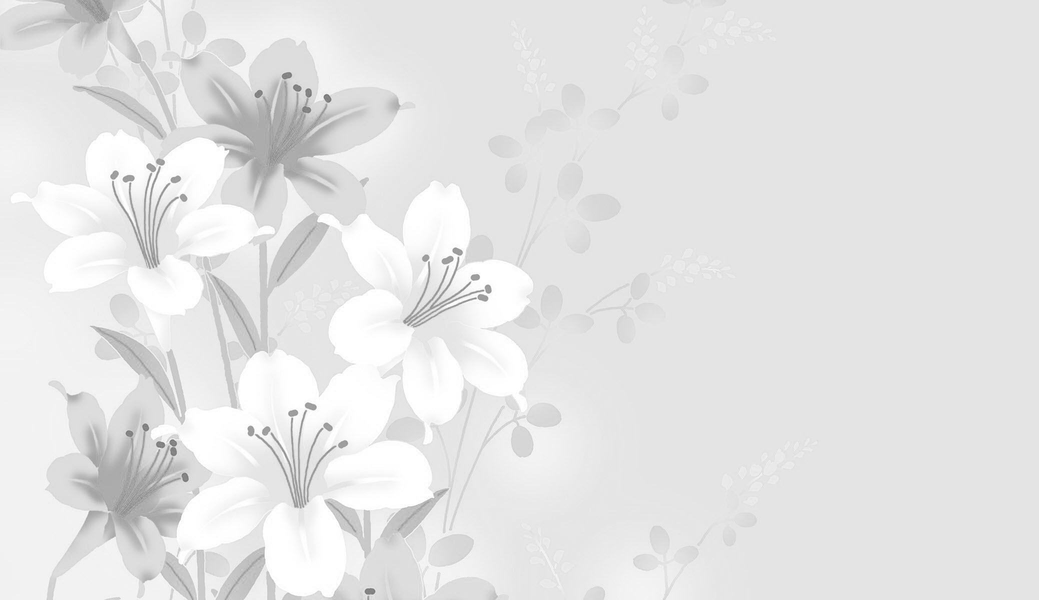 Beautiful White Wallpaper (32)