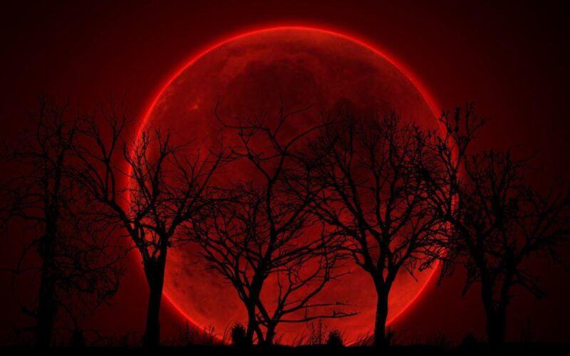 Hình ảnh trăng máu lớn màu đỏ tuyệt đẹp