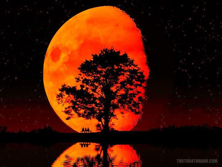 phản chiếu mặt trăng máu đẹp
