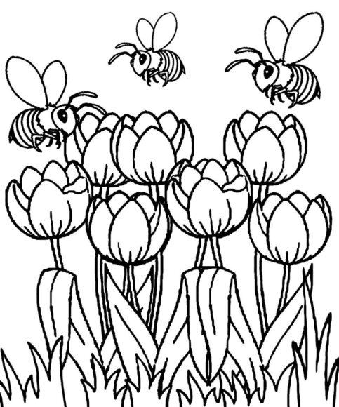 Tranh tô màu khu vườn và đàn ong