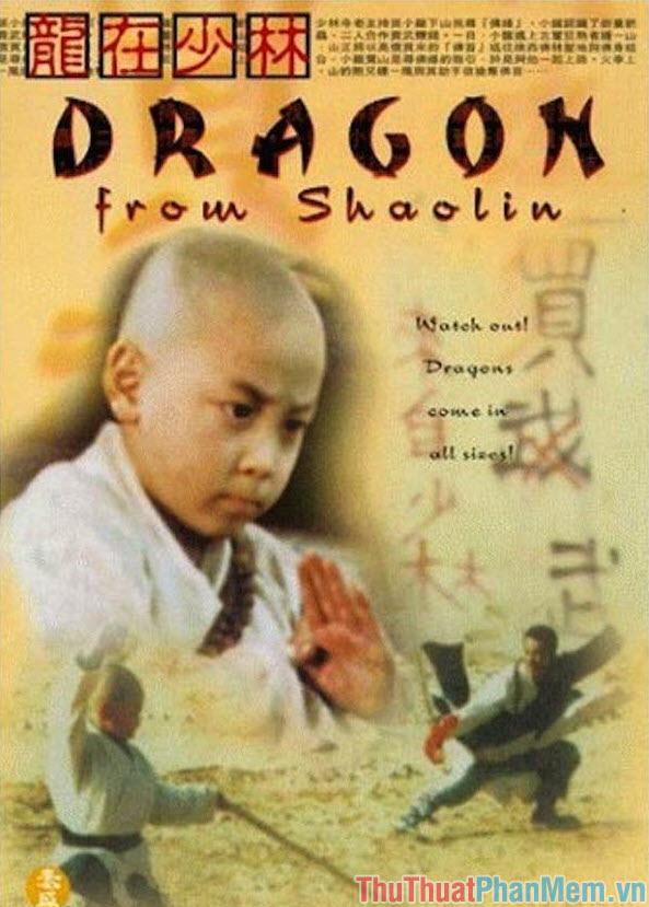 Rồng từ Thiếu Lâm – Shaolin Dragon (1996)