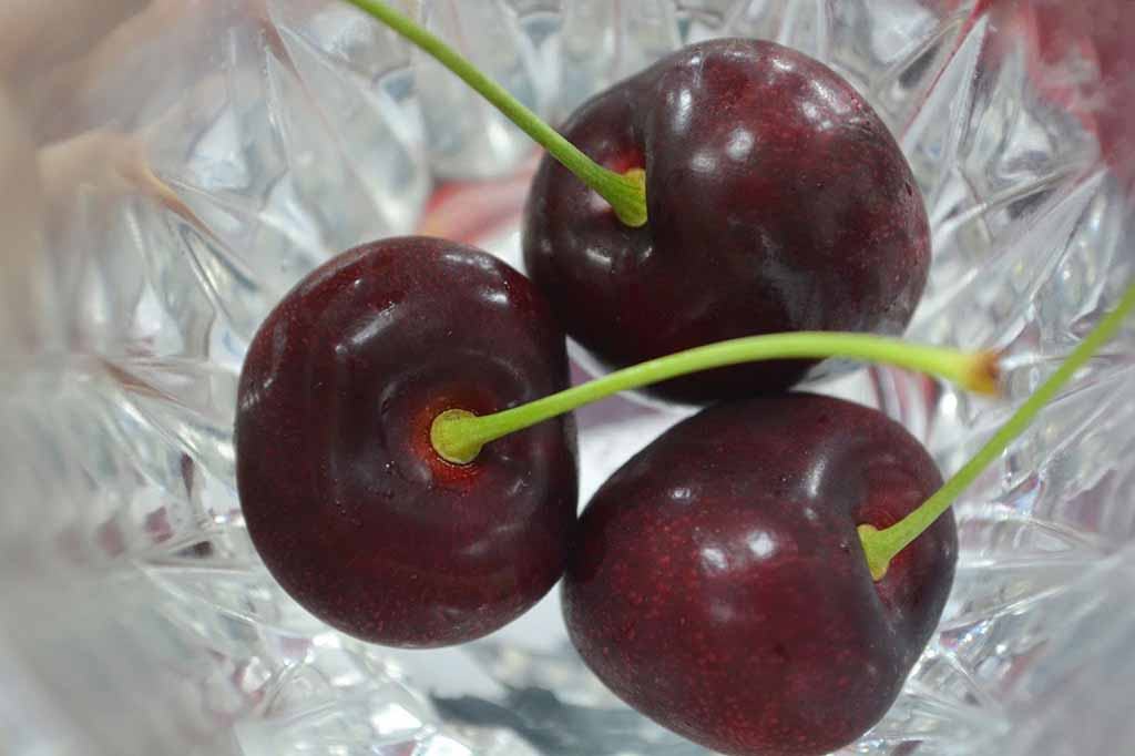Giá Cherry Úc nhập khẩu hiện nay