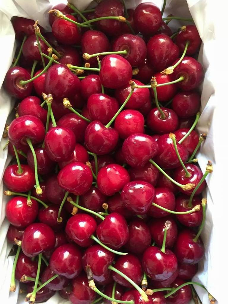 Hình ảnh Cherry Mỹ nhập khẩu