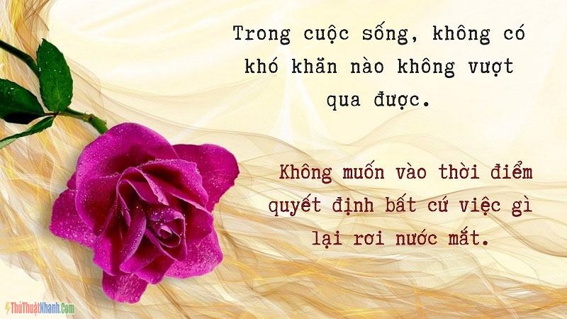 Stt - Những Câu Nói Hay Về Cuộc Sống Khi Tiền Là Quan Trọng