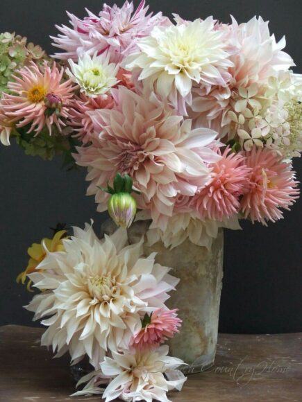 Dahlias trong một chiếc bình