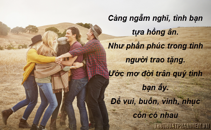 Những câu nói hay về tình bạn - 11