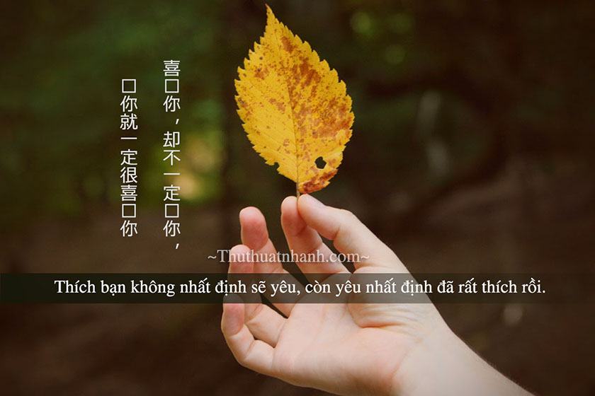 Những câu nói ngôn tình bằng tiếng Trung